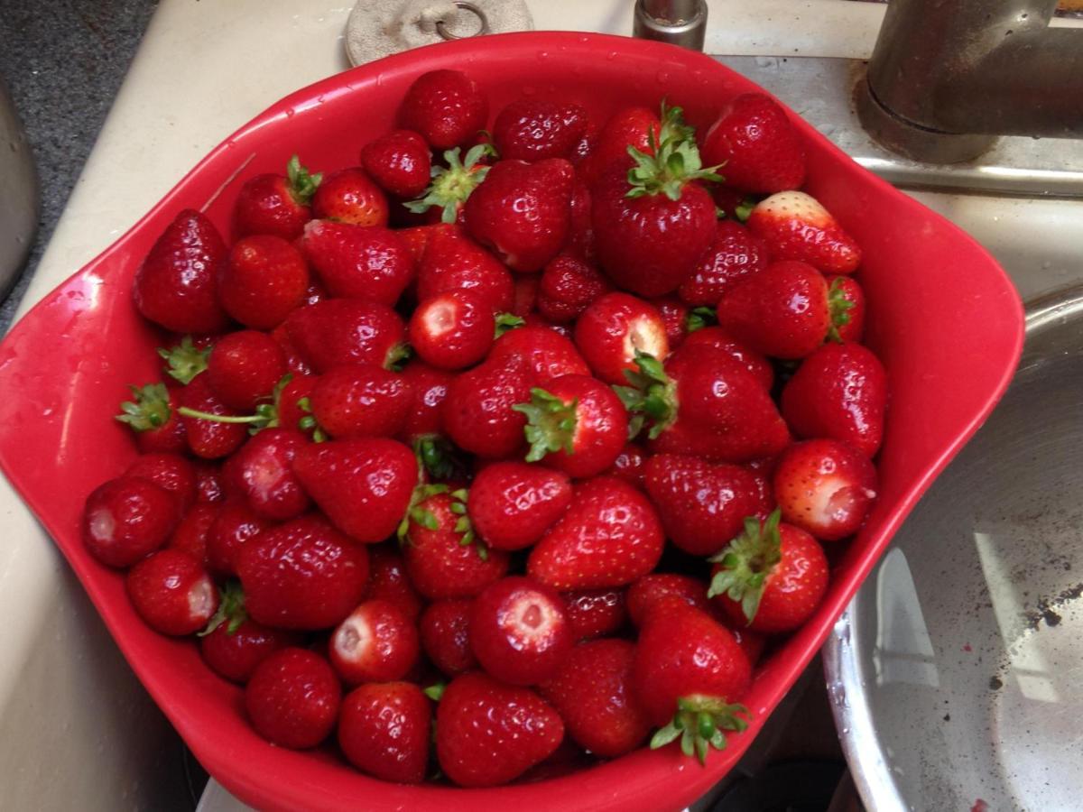 מלון Lummi Island Nettles Farm מראה חיצוני תמונה